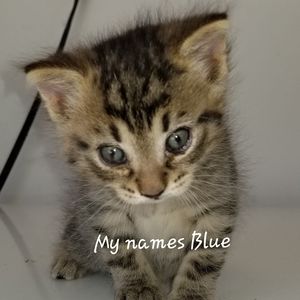 Meet your Posher, Becky